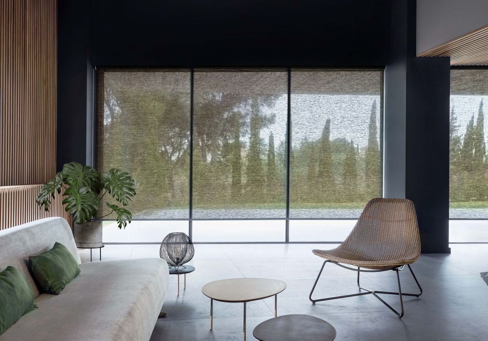 Child and cat on window with Crestron roller shades