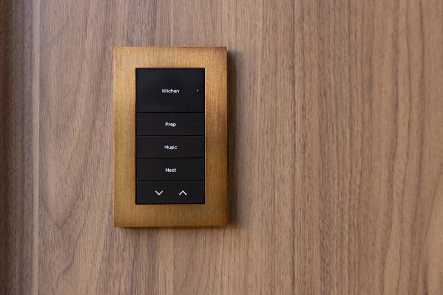 Control4 lighting keypad on wall